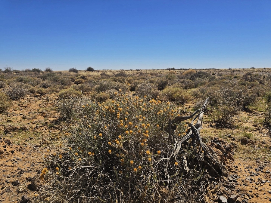 Commercial Property for Sale in Calvinia Rural Northern Cape